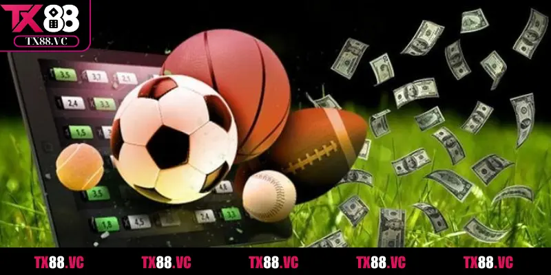 Thể thao IM – Cá Cược Đa Dạng, Tỷ Lệ Kèo Hấp Dẫn Nhất - tx88