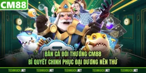 Tin Tức - CM88