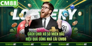 Tin Tức - CM88