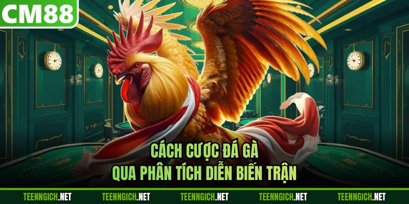 Cách Cược Đá Gà Nâng Cao Cơ Hội Chiến Thắng Mỗi Trận Đấu