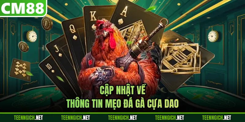 Mẹo Đá Gà Cựa Dao Siêu Hấp Dẫn Dành Cho Hội Viên Tại CM88