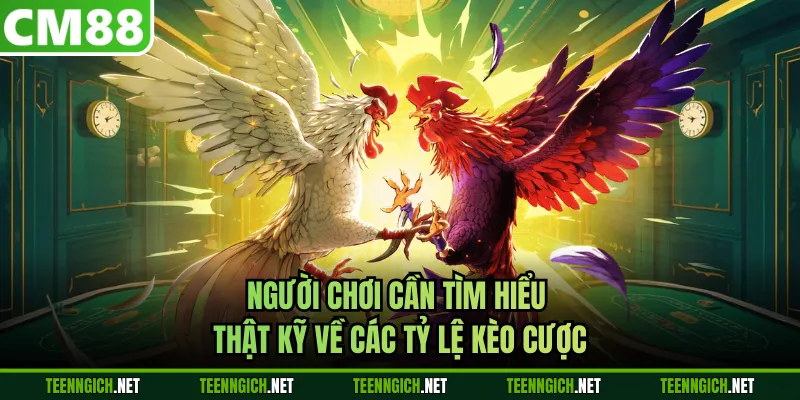 Mẹo Đá Gà Cựa Dao Siêu Hấp Dẫn Dành Cho Hội Viên Tại CM88