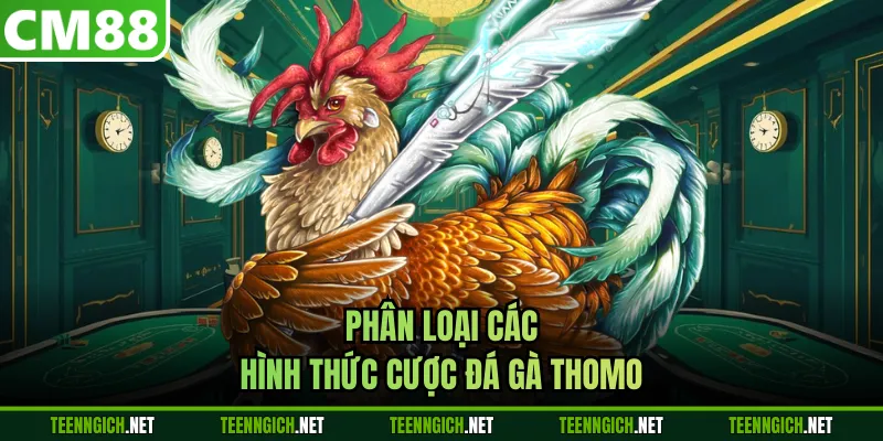 Đá Gà Thomo CM88 - Livestream Mượt Mà, Tỷ Lệ Cược Cạnh Tranh