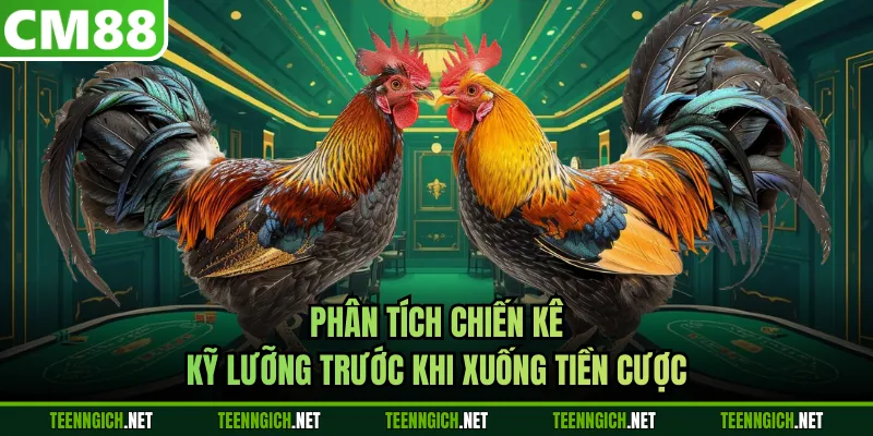 Cách Cược Đá Gà Nâng Cao Cơ Hội Chiến Thắng Mỗi Trận Đấu