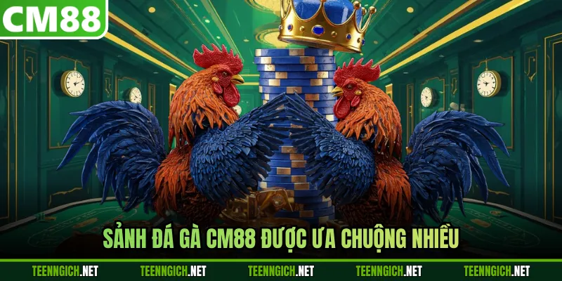 Đá Gà CM88 - Trải Nghiệm Những Trận Đấu Đỉnh Cao