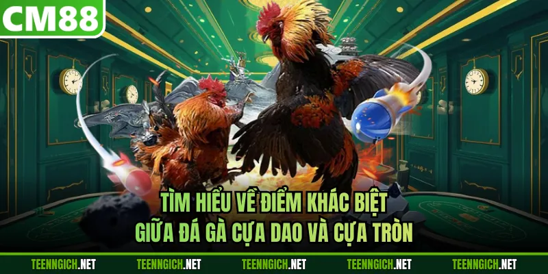Mẹo Đá Gà Cựa Dao Siêu Hấp Dẫn Dành Cho Hội Viên Tại CM88