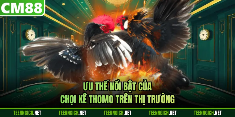 Đá Gà Thomo CM88 - Livestream Mượt Mà, Tỷ Lệ Cược Cạnh Tranh