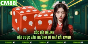 Tin Tức - CM88